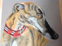 /album/galerie-photos/photo-1283-jpg/